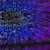 The Importance of the Chief Data Officer